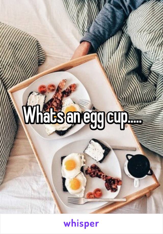 Whats an egg cup.....