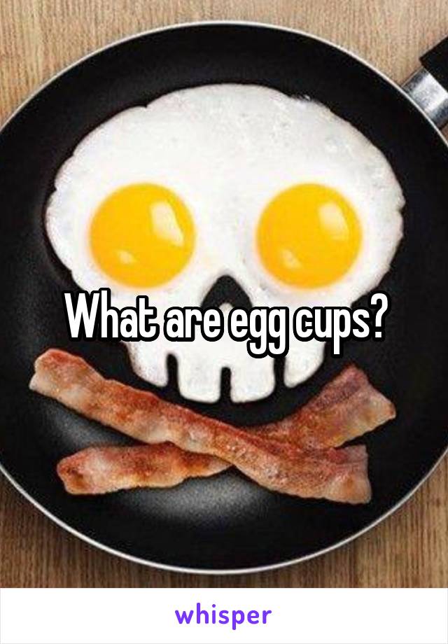 What are egg cups?