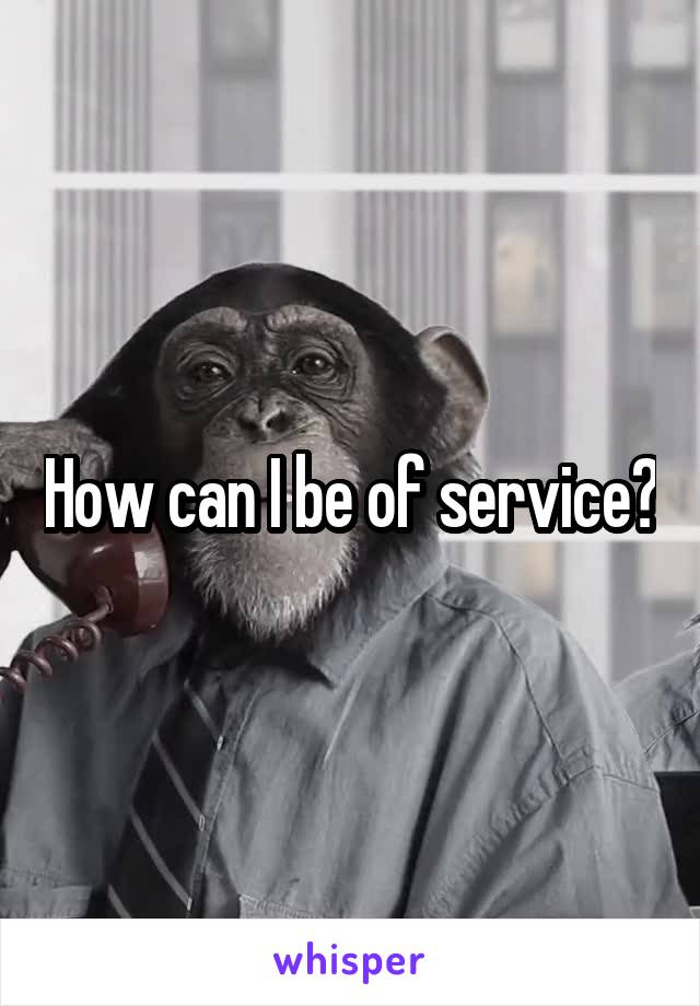 How can I be of service?