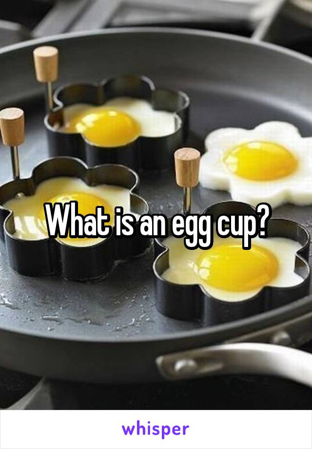 What is an egg cup?