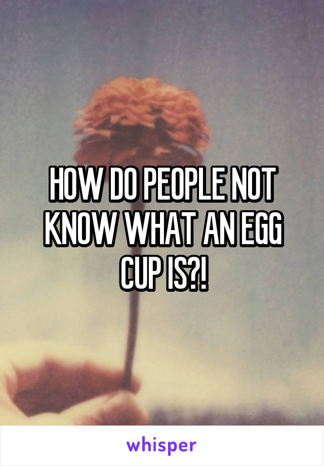 HOW DO PEOPLE NOT KNOW WHAT AN EGG CUP IS?!