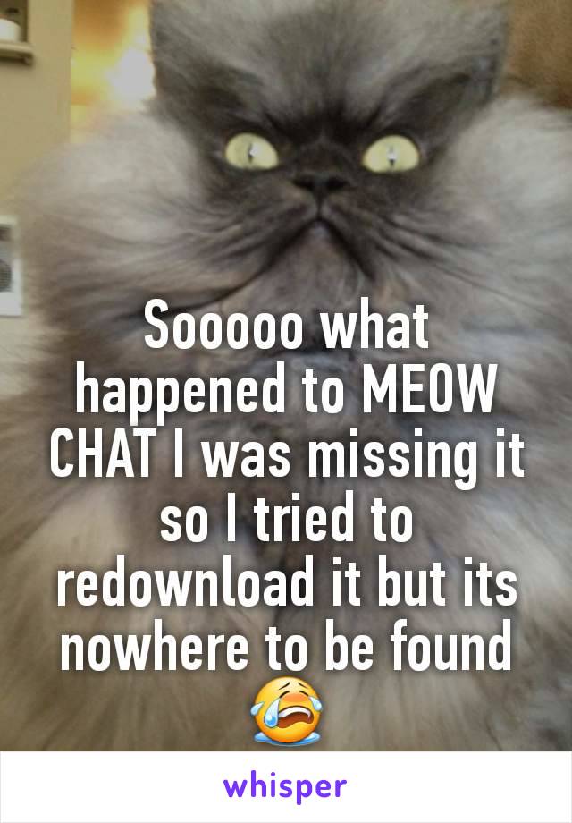 Sooooo what happened to MEOW CHAT I was missing it so I tried to redownload it but its nowhere to be found 😭