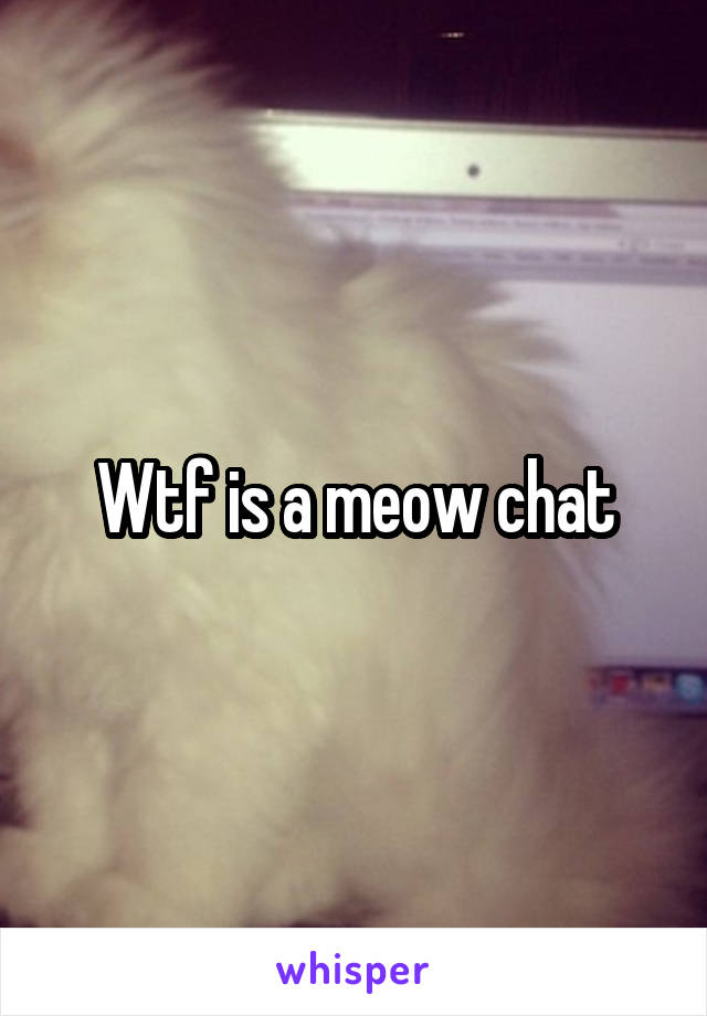 Wtf is a meow chat