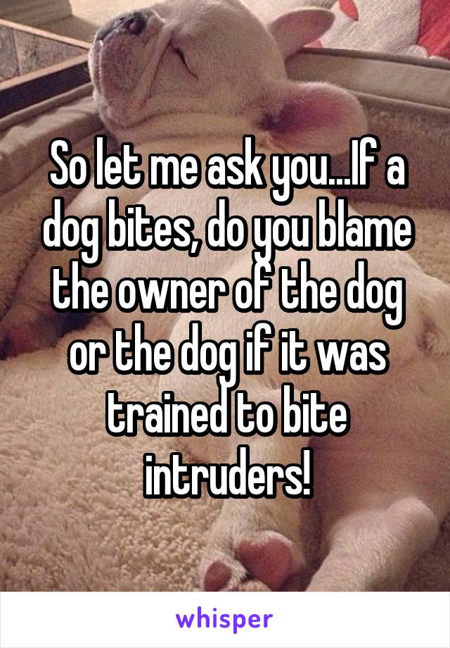 So let me ask you...If a dog bites, do you blame the owner of the dog or the dog if it was trained to bite intruders!