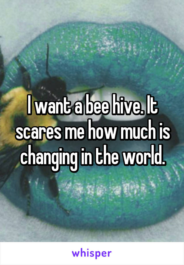 I want a bee hive. It scares me how much is changing in the world.