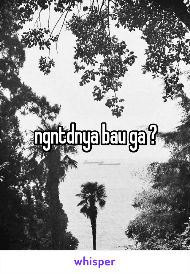 ngntdnya bau ga ?