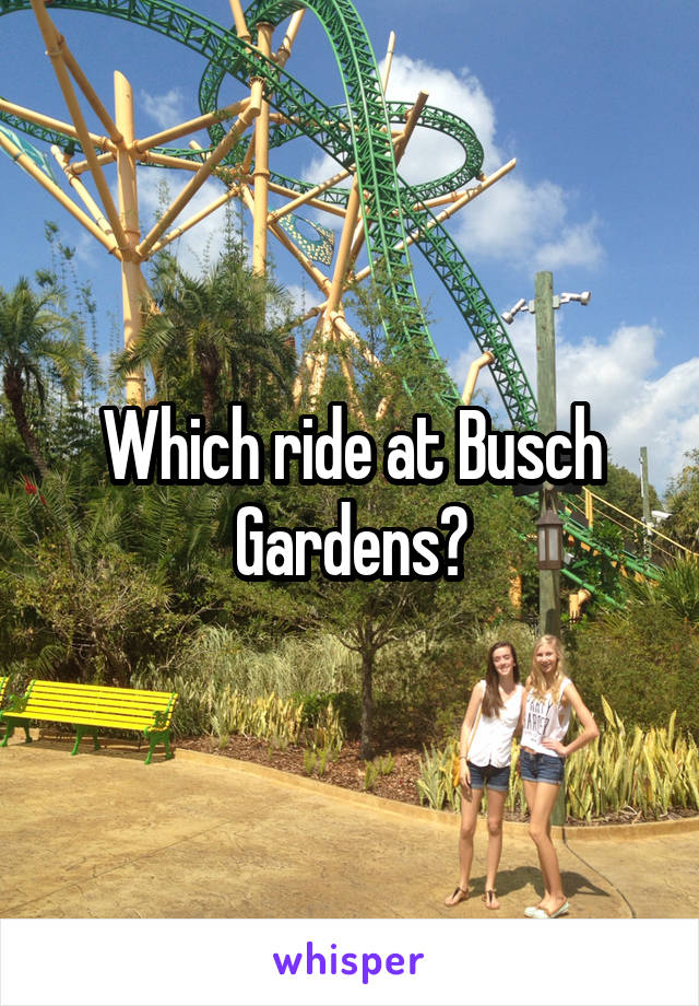 Which ride at Busch Gardens?