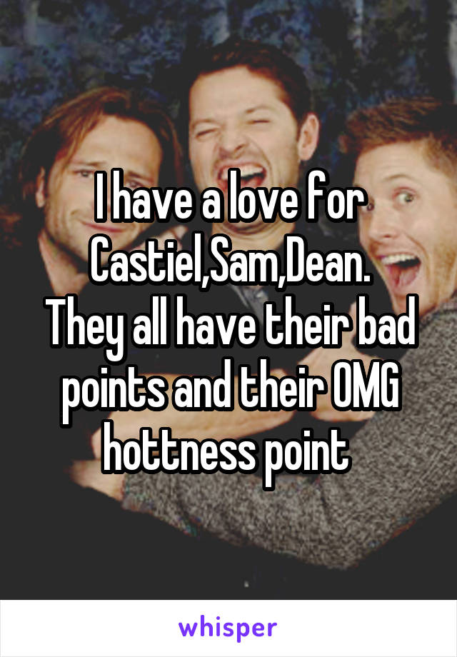 I have a love for Castiel,Sam,Dean.
They all have their bad points and their OMG hottness point 