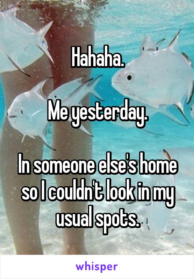 Hahaha.

Me yesterday.

In someone else's home so I couldn't look in my usual spots.