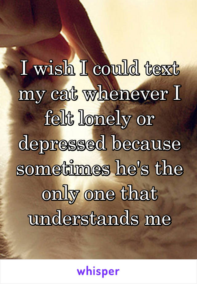 I wish I could text my cat whenever I felt lonely or depressed because sometimes he's the only one that understands me