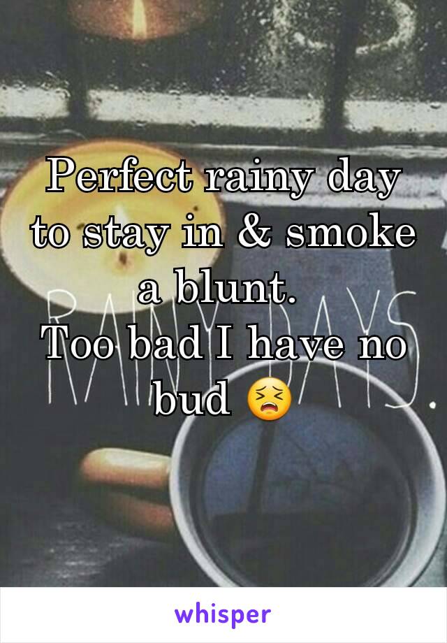 Perfect rainy day to stay in & smoke a blunt. 
Too bad I have no bud 😣