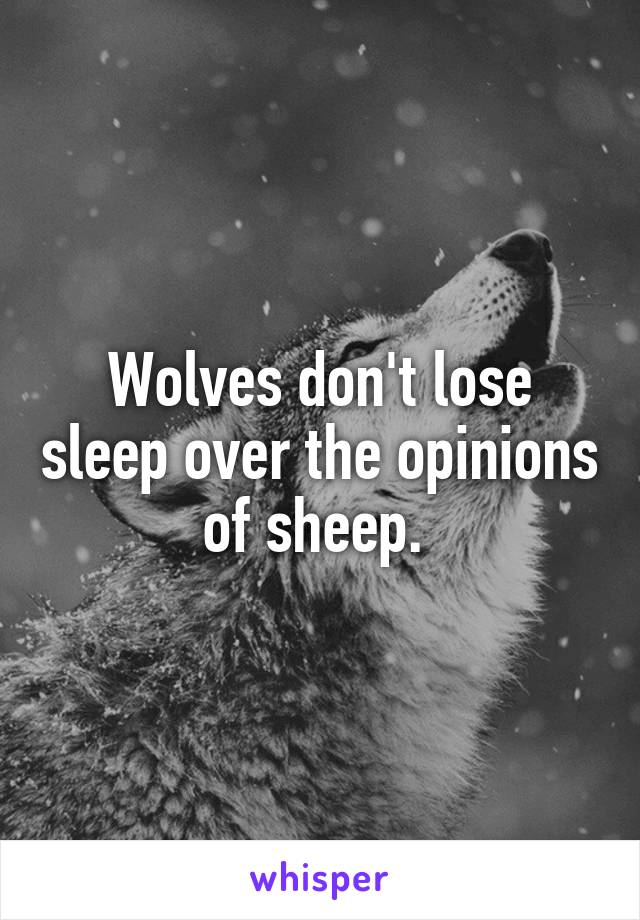 Wolves don't lose sleep over the opinions of sheep. 