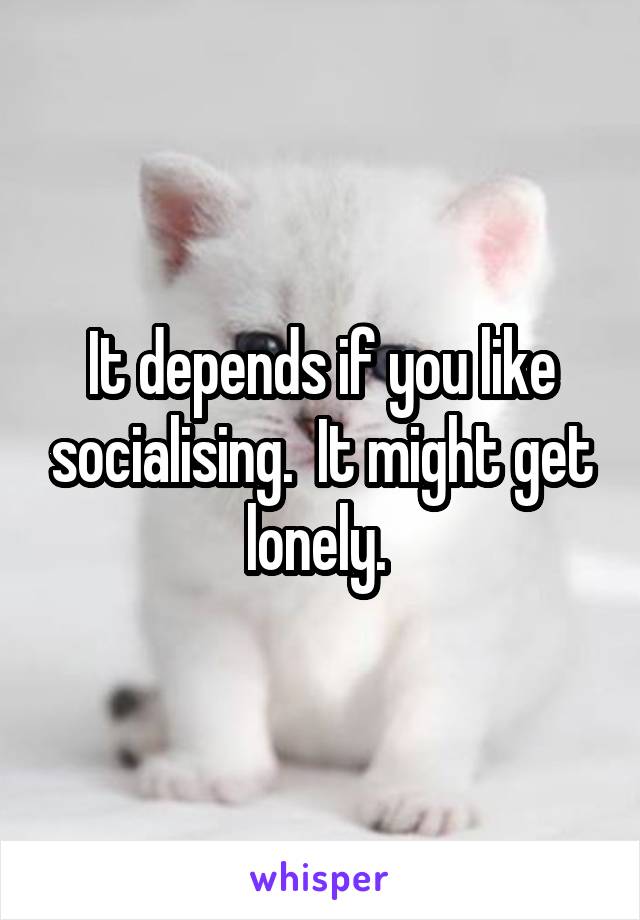 It depends if you like socialising.  It might get lonely. 