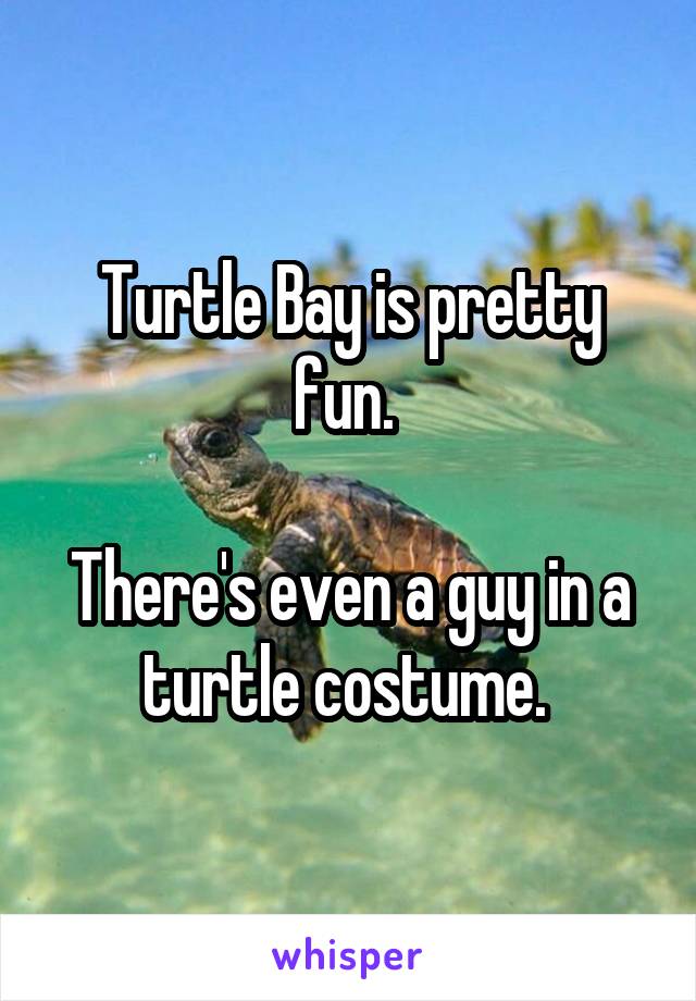 Turtle Bay is pretty fun. 

There's even a guy in a turtle costume. 