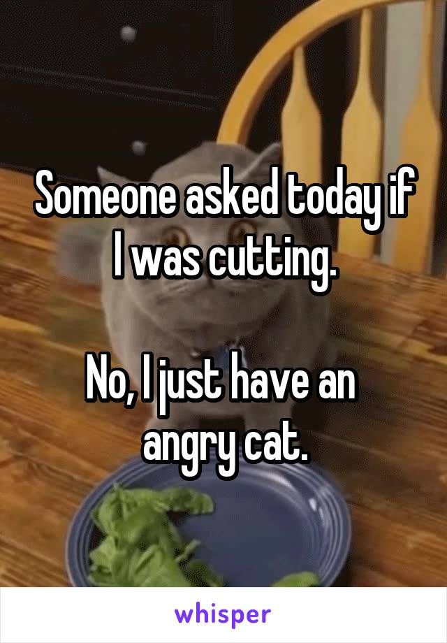 Someone asked today if I was cutting.

No, I just have an 
angry cat.