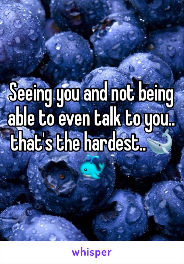 Seeing you and not being able to even talk to you.. that's the hardest..🐋🐳