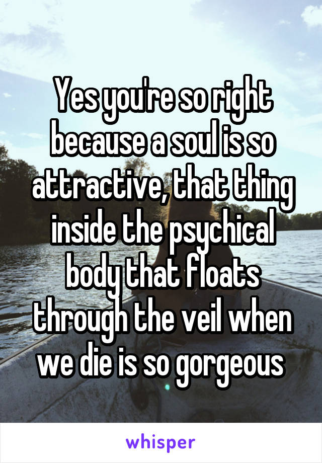 Yes you're so right because a soul is so attractive, that thing inside the psychical body that floats through the veil when we die is so gorgeous 