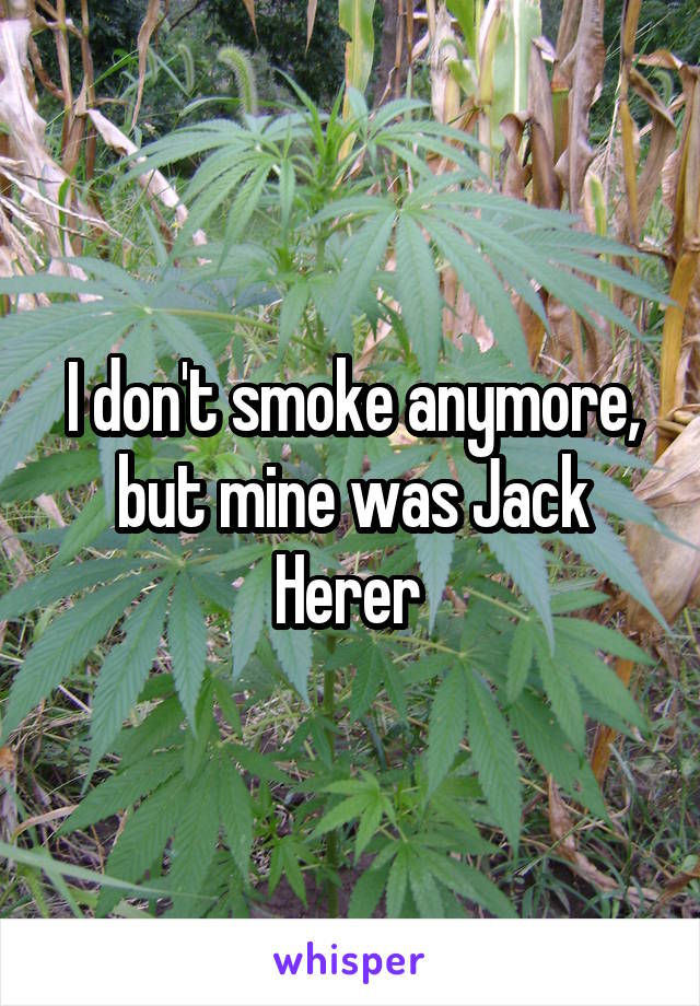 I don't smoke anymore, but mine was Jack Herer 