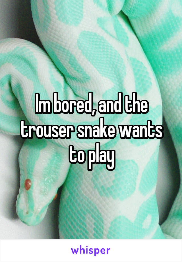Im bored, and the trouser snake wants to play
