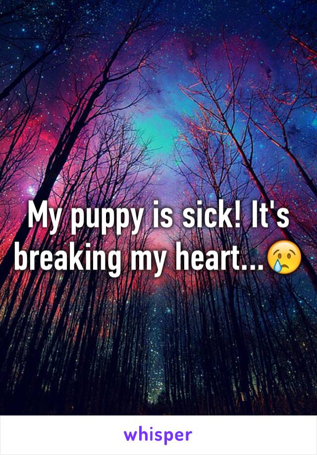 My puppy is sick! It's breaking my heart...😢