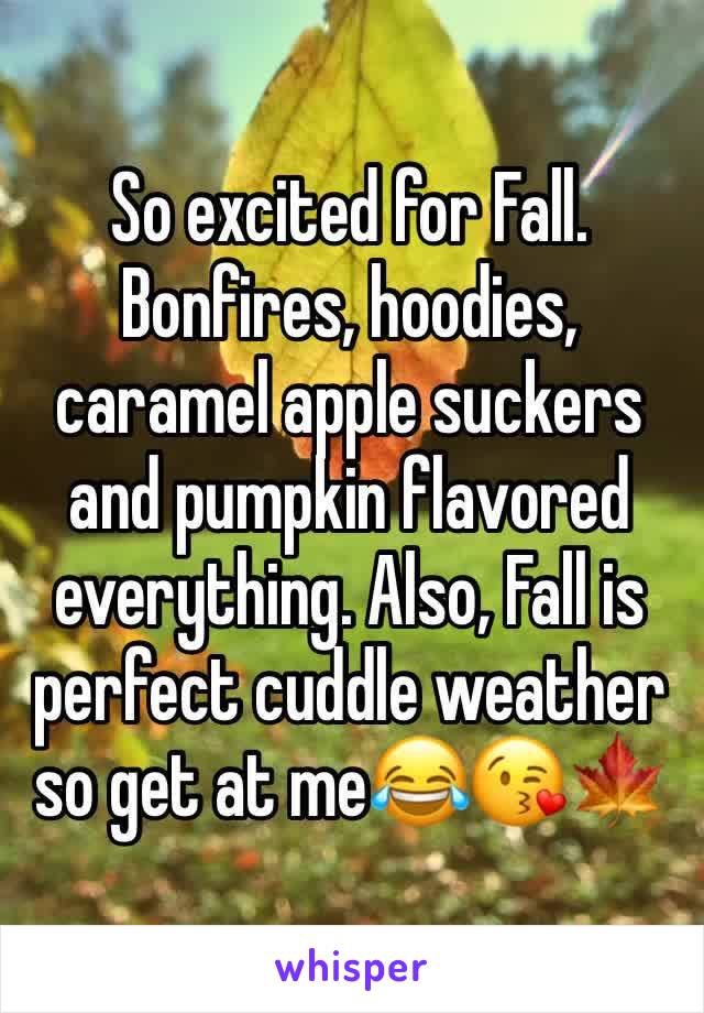 So excited for Fall. Bonfires, hoodies, caramel apple suckers and pumpkin flavored everything. Also, Fall is perfect cuddle weather so get at me😂😘🍁