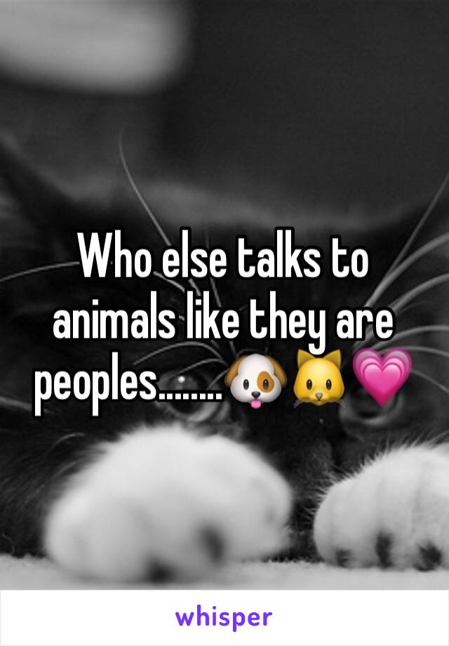 Who else talks to animals like they are peoples........🐶🐱💗