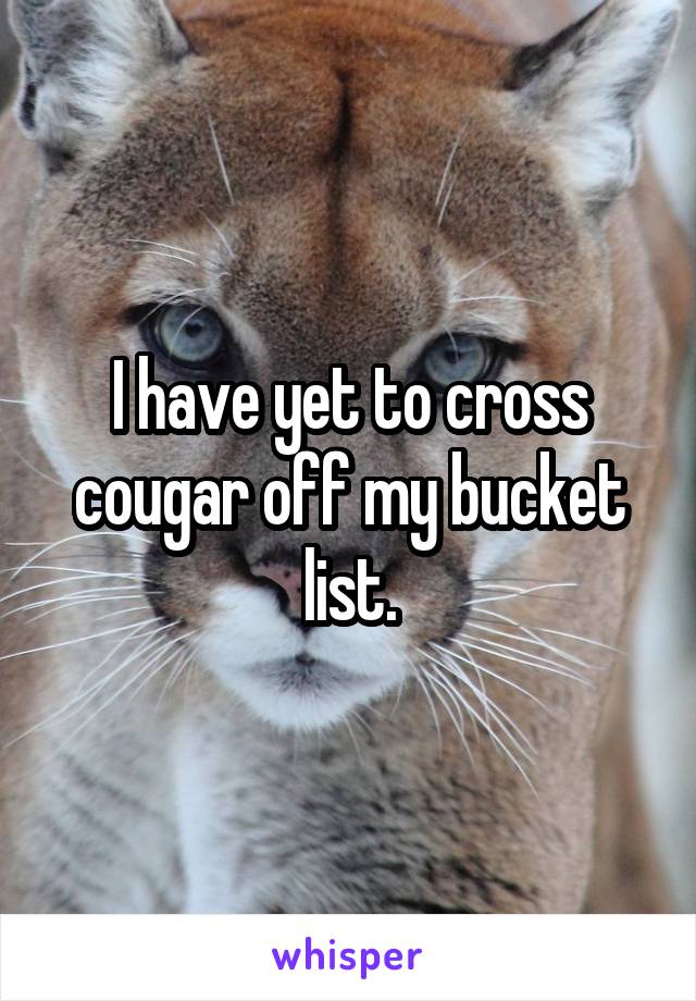 I have yet to cross cougar off my bucket list.