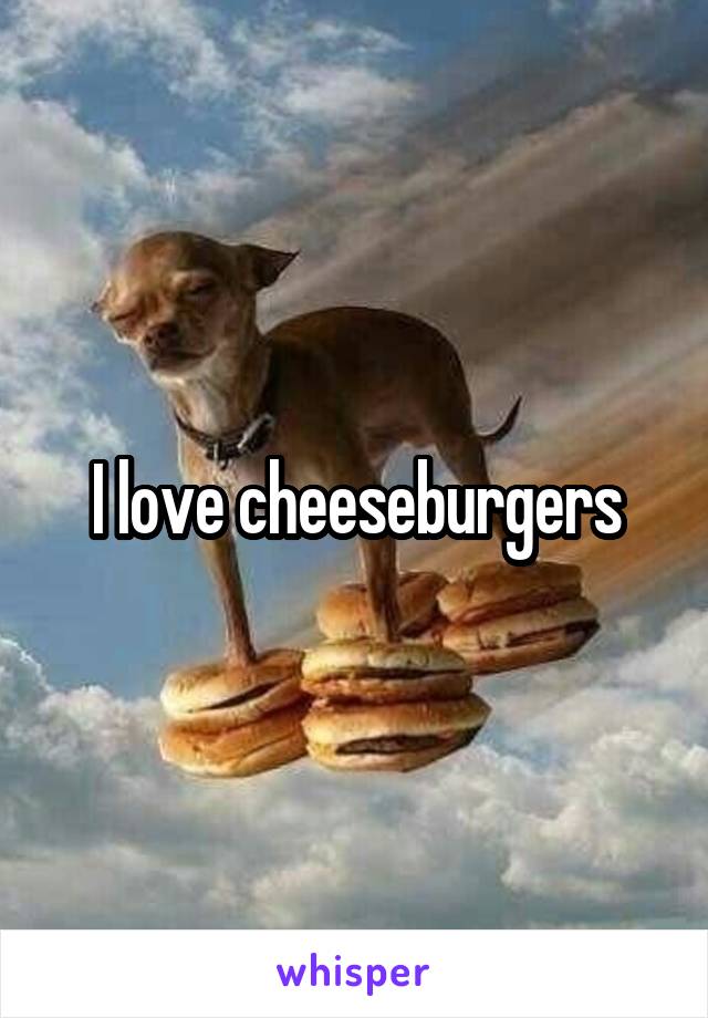 I love cheeseburgers