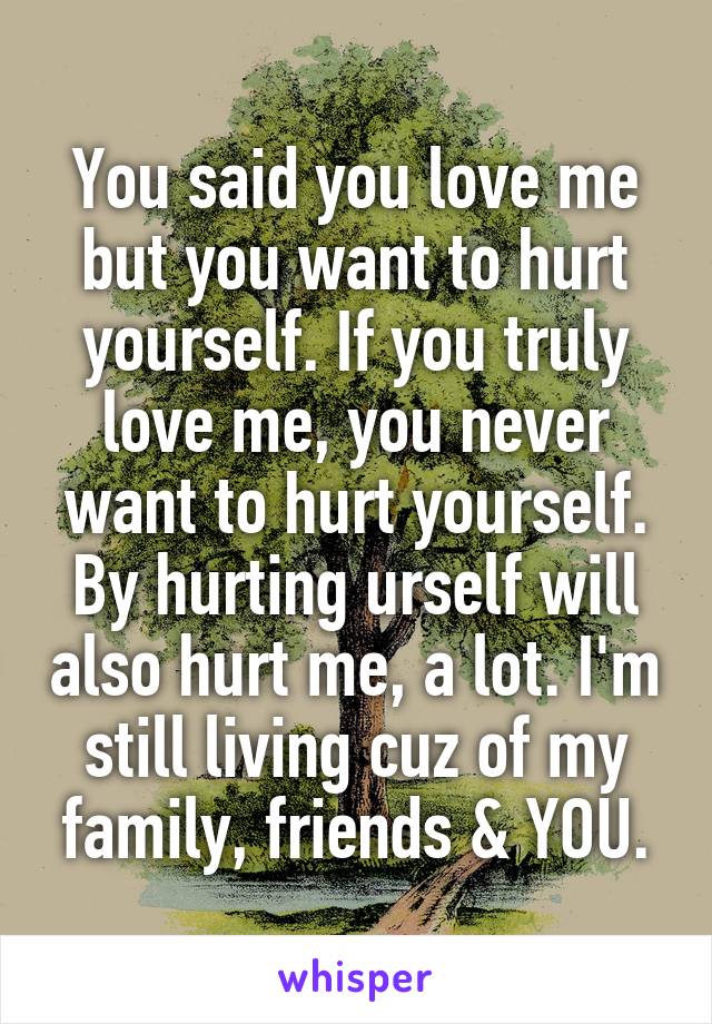You said you love me but you want to hurt yourself. If you truly love me, you never want to hurt yourself. By hurting urself will also hurt me, a lot. I'm still living cuz of my family, friends & YOU.