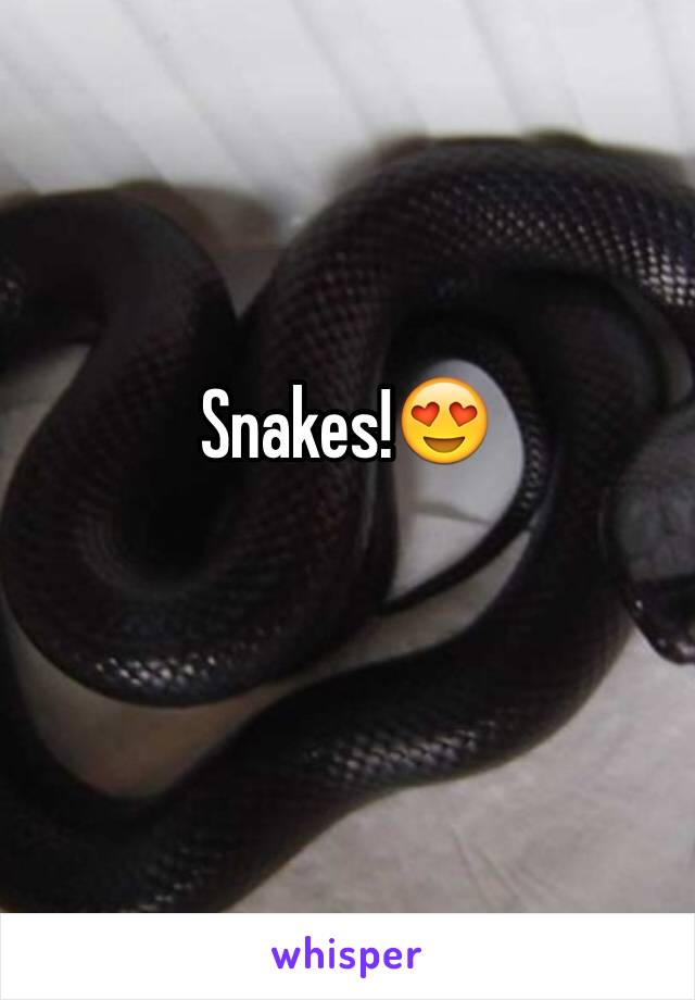 Snakes!😍