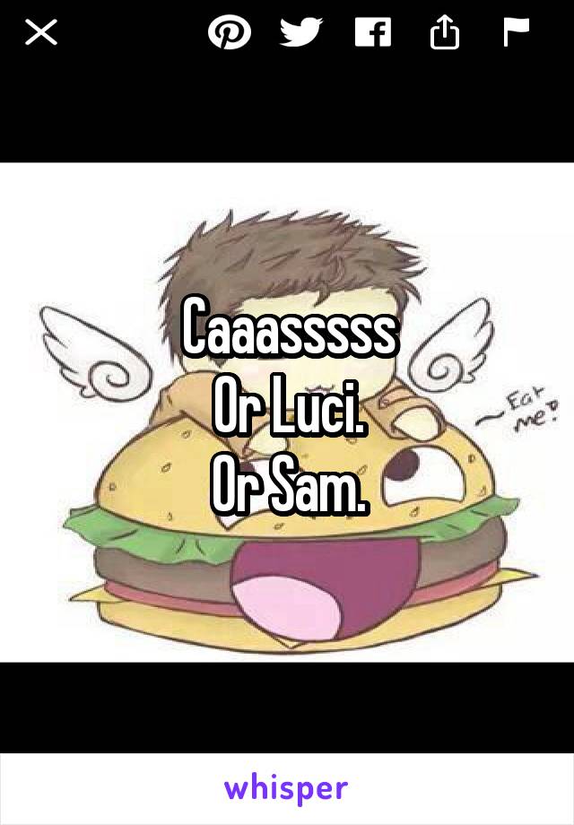 Caaasssss
Or Luci.
Or Sam.