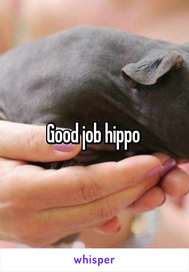 Good job hippo 