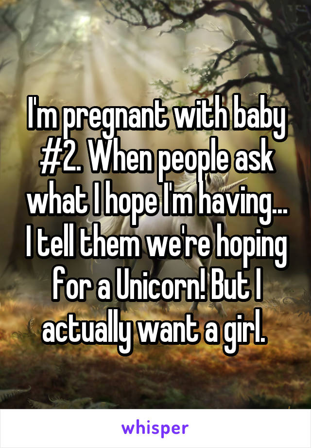I'm pregnant with baby #2. When people ask what I hope I'm having... I tell them we're hoping for a Unicorn! But I actually want a girl. 