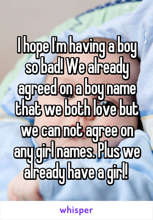 I hope I'm having a boy so bad! We already agreed on a boy name that we both love but we can not agree on any girl names. Plus we already have a girl! 