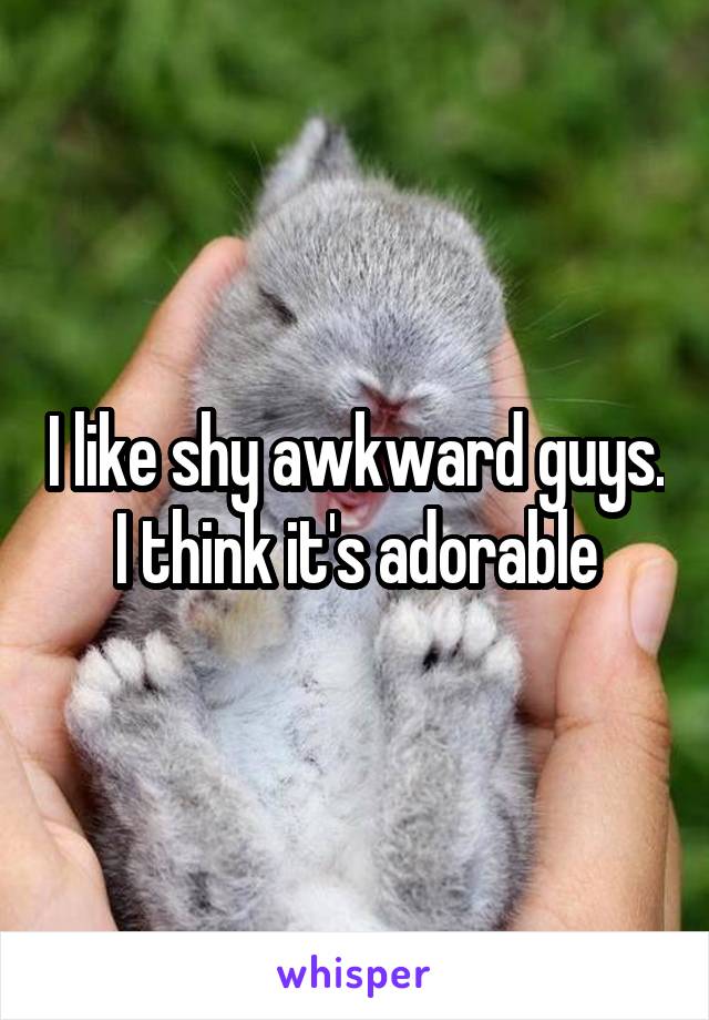 I like shy awkward guys. I think it's adorable