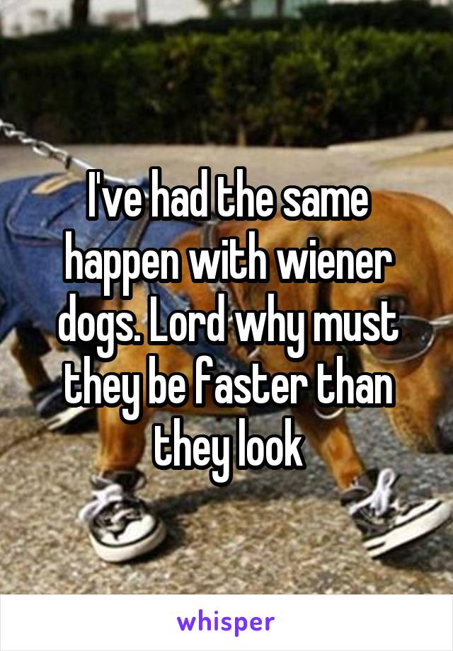 I've had the same happen with wiener dogs. Lord why must they be faster than they look