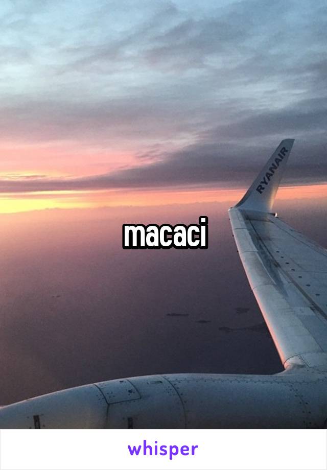 macaci
