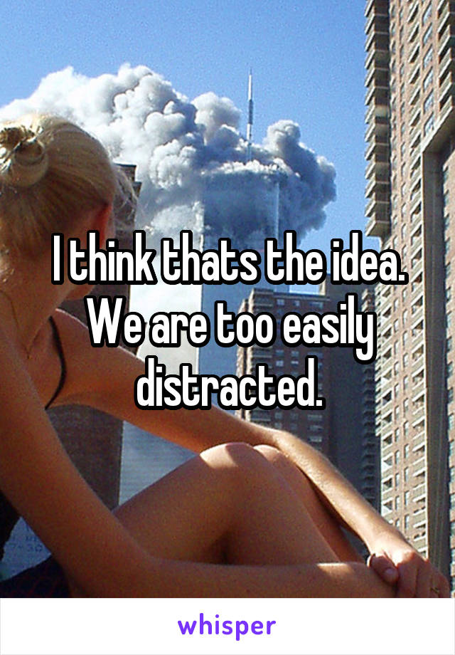 I think thats the idea. We are too easily distracted.