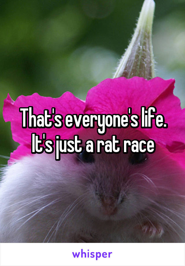 That's everyone's life.
It's just a rat race