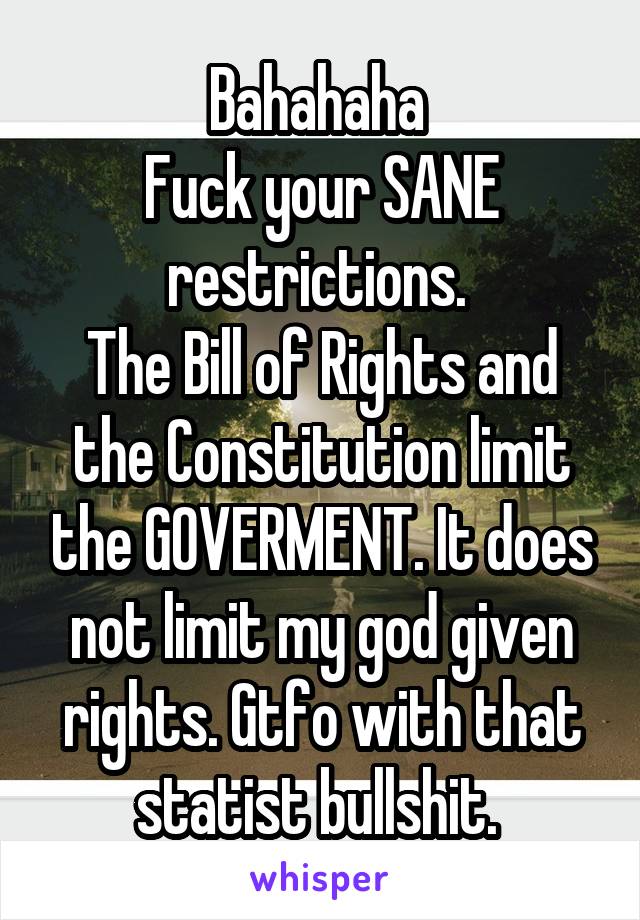 Bahahaha 
Fuck your SANE restrictions. 
The Bill of Rights and the Constitution limit the GOVERMENT. It does not limit my god given rights. Gtfo with that statist bullshit. 