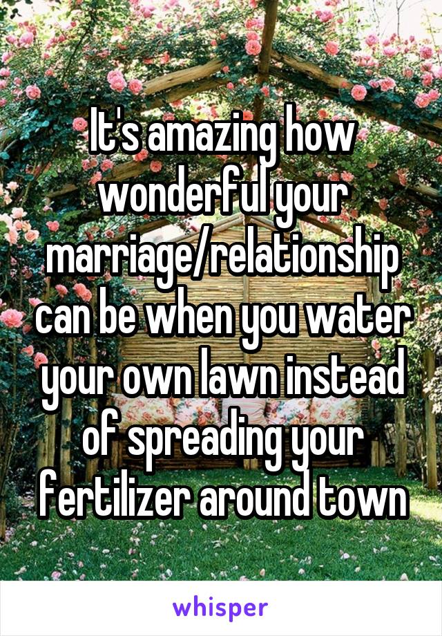 It's amazing how wonderful your marriage/relationship can be when you water your own lawn instead of spreading your fertilizer around town