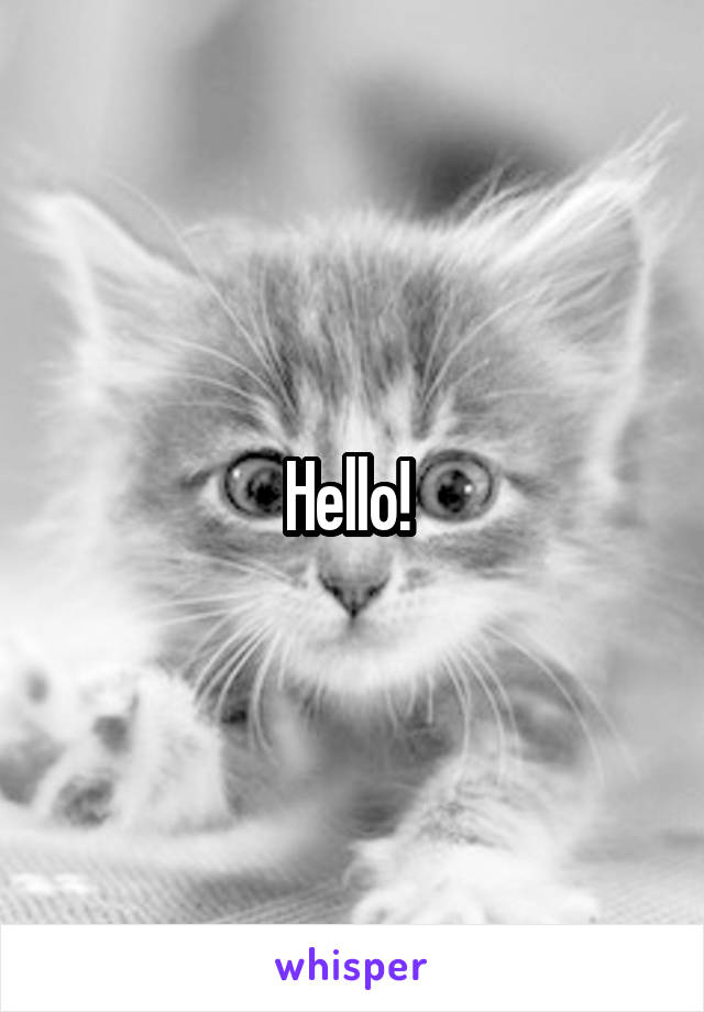 Hello! 
