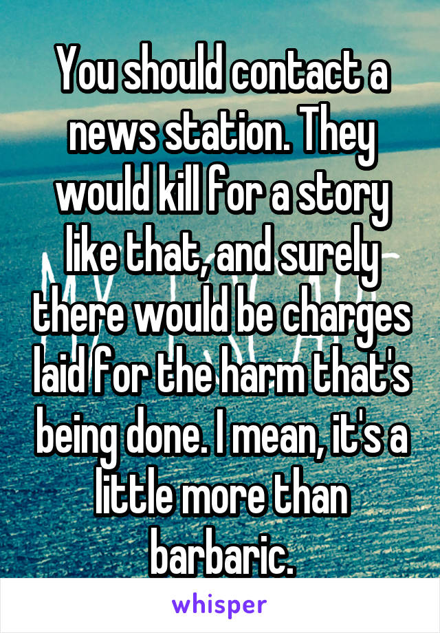 You should contact a news station. They would kill for a story like that, and surely there would be charges laid for the harm that's being done. I mean, it's a little more than barbaric.