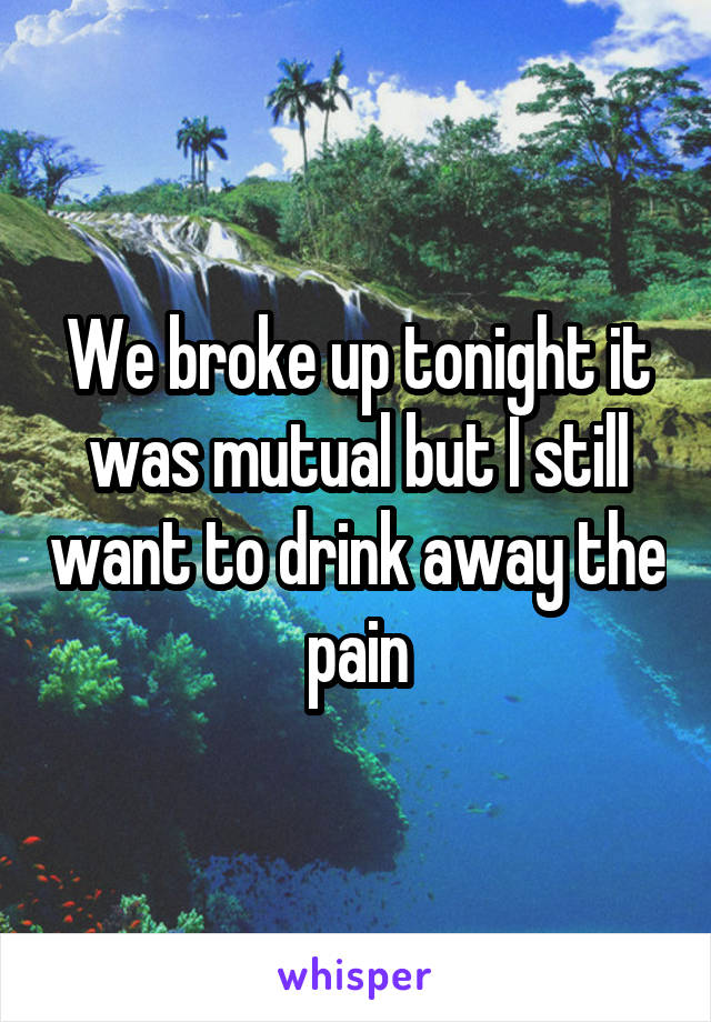 We broke up tonight it was mutual but I still want to drink away the pain