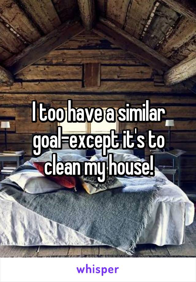 I too have a similar goal-except it's to clean my house!