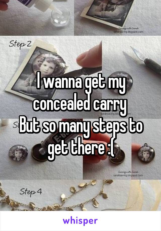 I wanna get my concealed carry 
But so many steps to get there :(