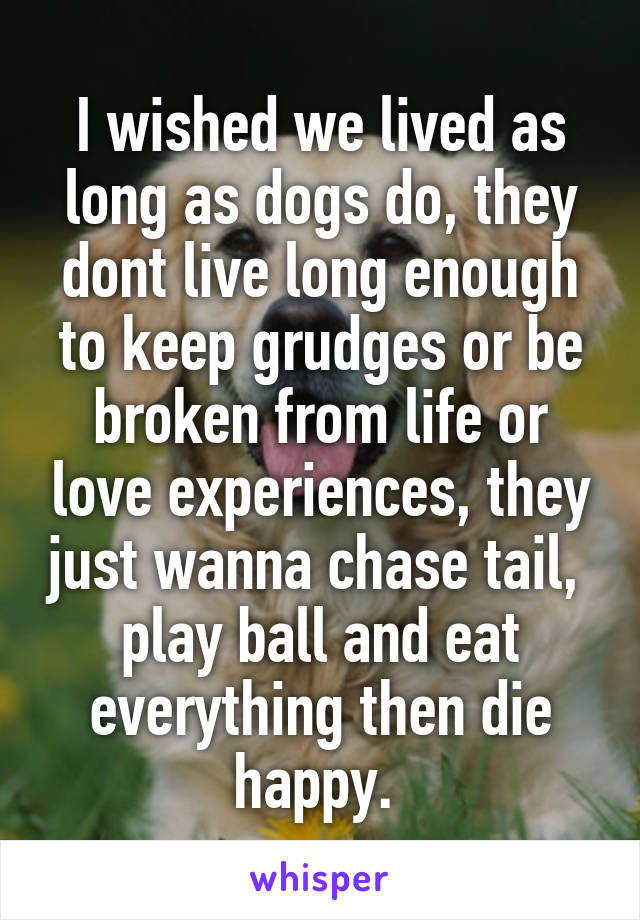 I wished we lived as long as dogs do, they dont live long enough to keep grudges or be broken from life or love experiences, they just wanna chase tail,  play ball and eat everything then die happy. 