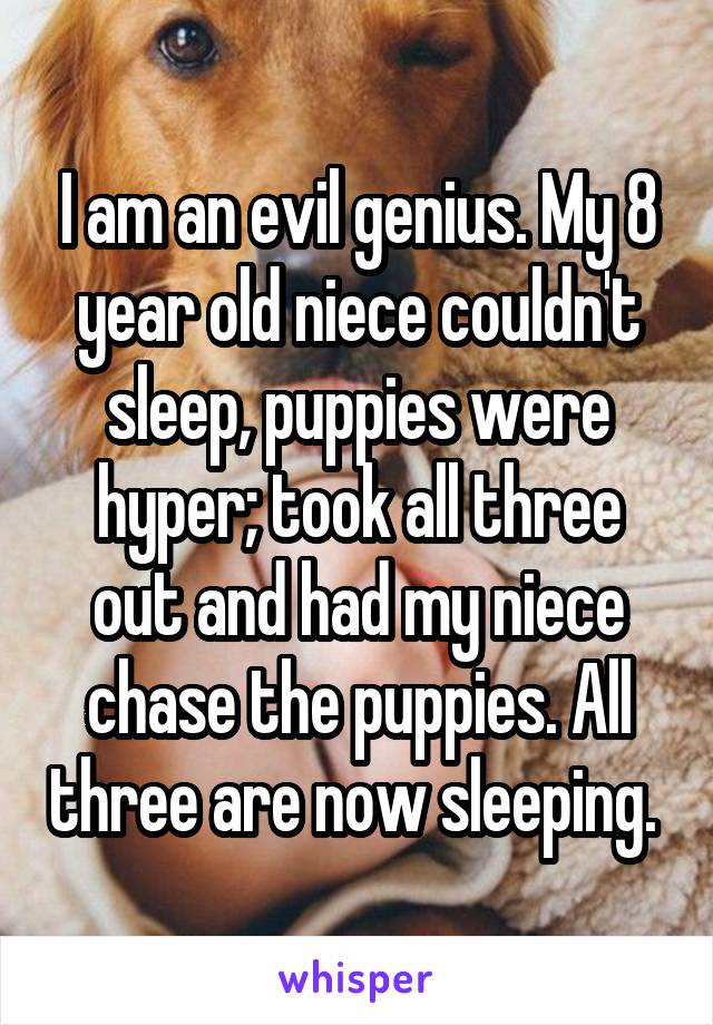 I am an evil genius. My 8 year old niece couldn't sleep, puppies were hyper; took all three out and had my niece chase the puppies. All three are now sleeping. 