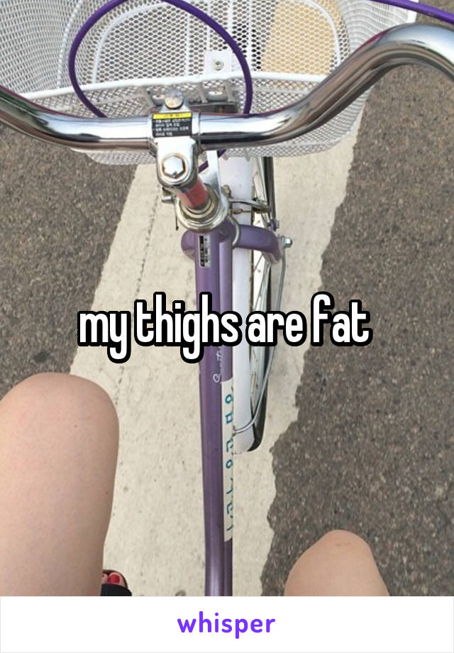 my thighs are fat 