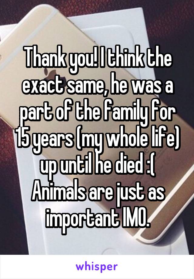 Thank you! I think the exact same, he was a part of the family for 15 years (my whole life) up until he died :( Animals are just as important IMO.